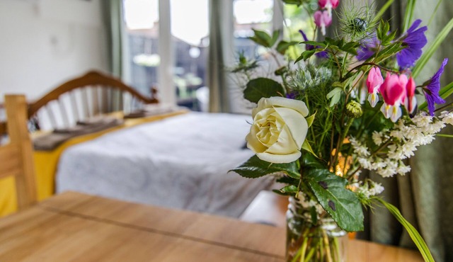 Bright and airy garden studio