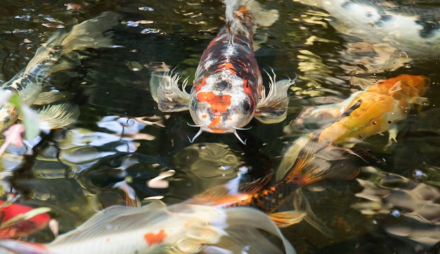 Bright and Cheerful North Hollywood House - In Quiet Neighborhood!