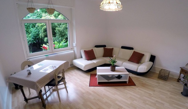 Bright and comfortable apartment near the historic center