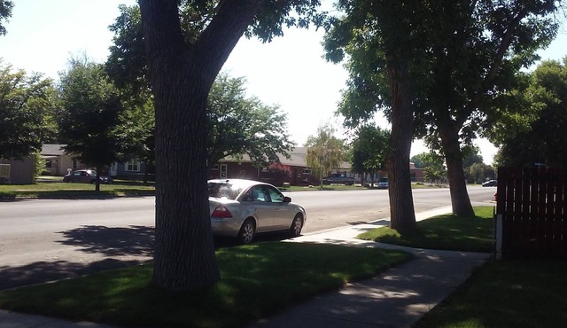 Bright and Cool Powell Apartment with patio and Air Conditioning.