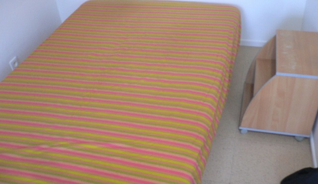 Bright and cozy apartment