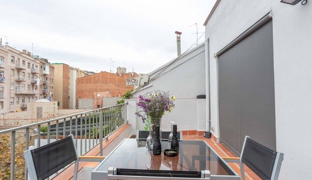 Bright and cozy attic apartment with two private terraces for 4