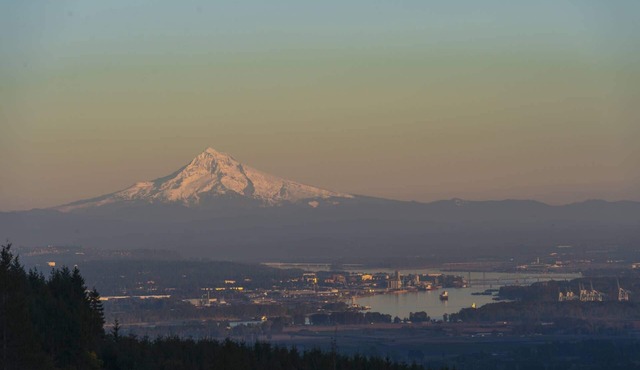 Bright and Fun Modern Vibe, New Decor and Furnishing Throughout, Four Blocks 2 Alberta Arts District