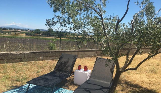 Bright and pleasant apartment in the middle of olive trees