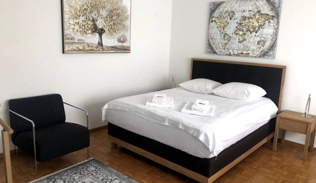 Bright and quiet studio in the city center (Sky1)