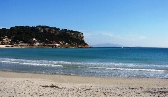 Bright and spacious guest room with separate entrance.