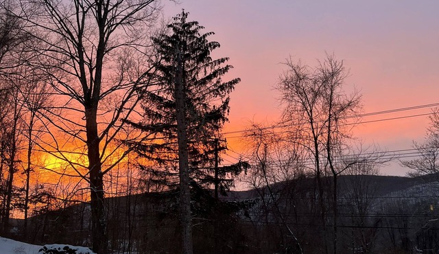 Bright and Spacious 3-bedroom house with large patio and sprawling yard.