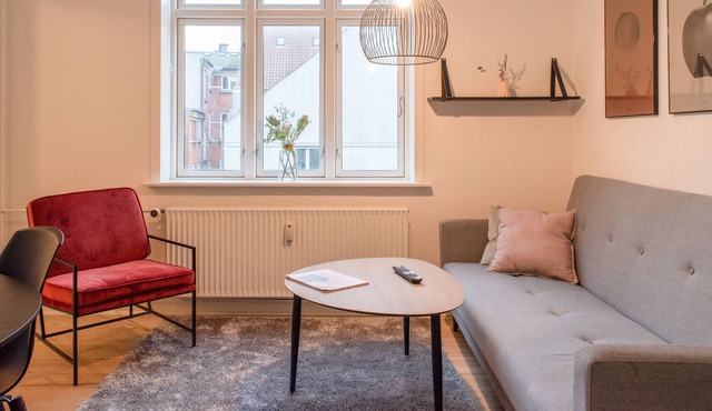 Bright and spacious apartment in downtown Århus