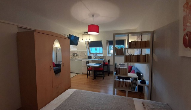 Bright apartment with air conditioning and WIFI, near Thermes St Roch