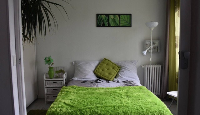 Bright apartment free parking near Bois Château Lac Paris Disney metro