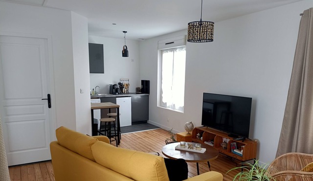 Bright apartment near center and circuit