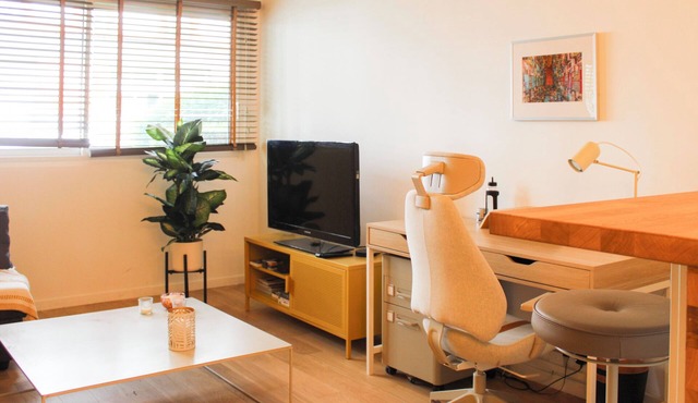 Bright apartment on the outskirts of Paris