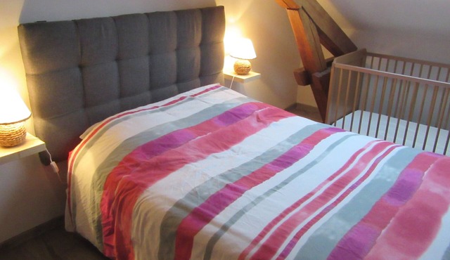 Bright apartment on the edge of the forest