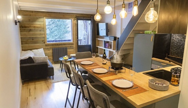 Bright apt facing the Mont Blanc chain