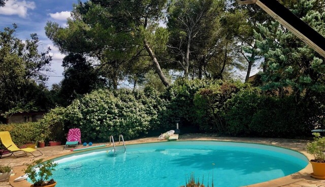 Bright artist's villa, private saltwater pool, large trees, enclosed grounds