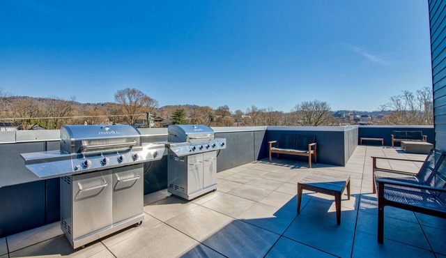 Bright Asheville escape near downtown with WiFi, rooftop deck & balcony