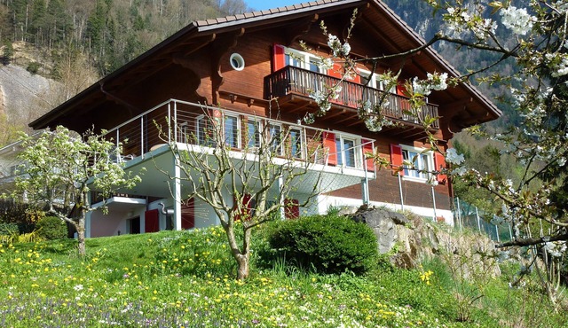 Bright attic flat in Chalet Bärgblick