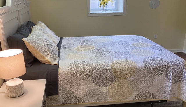 Bright basement apartment