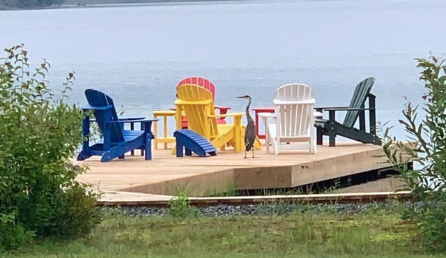 Bright, beautifully renovated lake-front cottage just north of Huntsville.