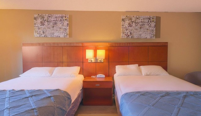 Bright, Cheerful 2 Queen Bed Retreat Perfect for Families or Road Trippers
