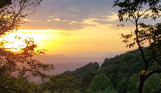 Bright & Clean! Private & Convenient! Location Location! Epic Views!