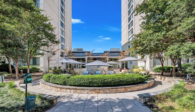 Bright Comfort in DC Apts