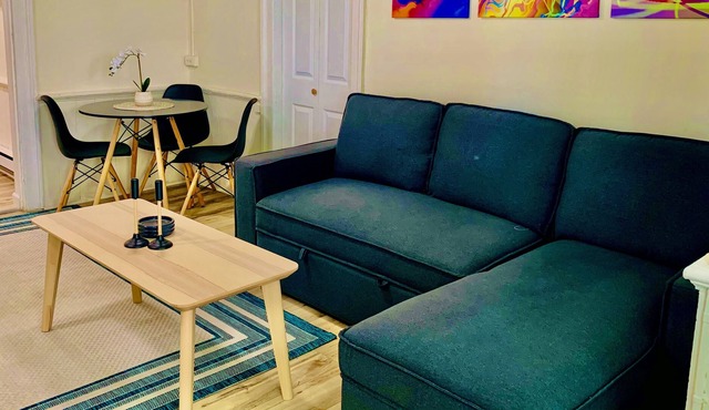 Bright - Cozy 1 BR 1 Full Bath Apt ~ 1.5 hrs from NYC - Fast WiFi & Downtown