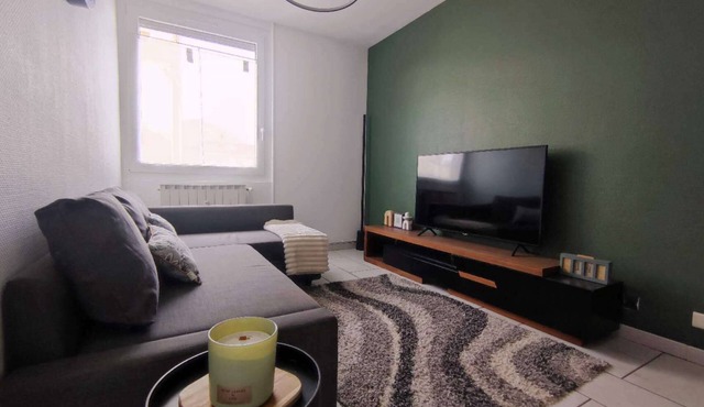 Bright & Cozy 2 bedrooms Walk Everywhere in Saint-Étienne