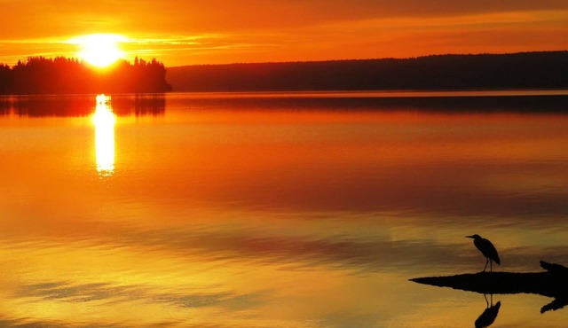 Bright cozy 3 Bedroom with Acess to Private Beach pet friendly!