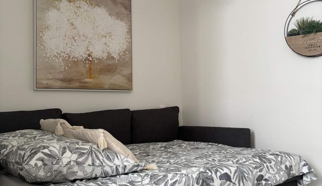 Bright, cozy apartment in the heart of Toulouse-all comforts