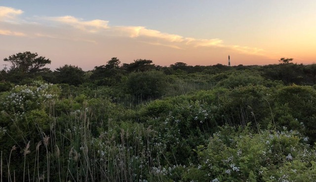 Bright, Cozy Bungalow With Lighthouse Views, Two Minutes Away from the Beach