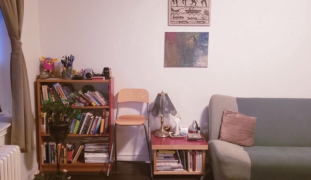 BRIGHT COZY/WARM 1 BEDROOM APARTMENT ON DUFFERIN