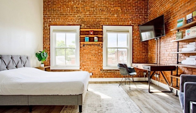 Bright Downtown Studio near Yale & East Rock!