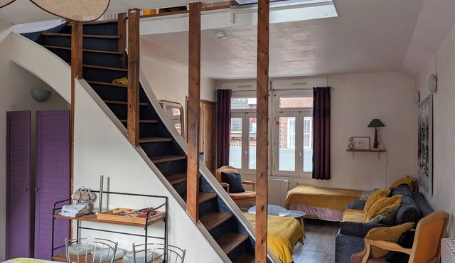 BRIGHT DUPLEX IN LILLE WAZEMMES