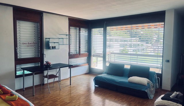 Bright flat for rent in Lugano