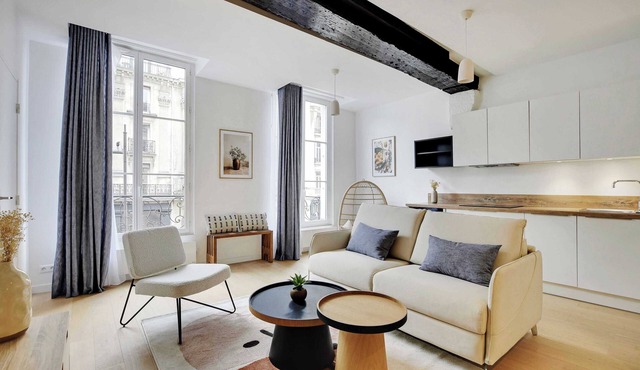 Bright Flat in Central Le Marais with 2 Bedrooms and central AC