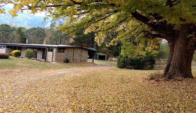 Bright Freeburgh Stays