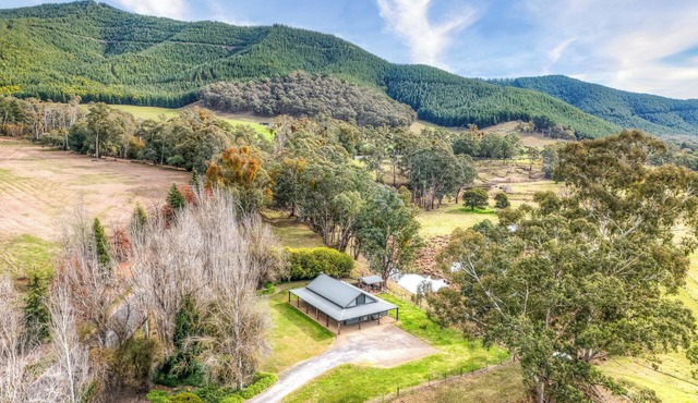 Bright Homestead - A Tranquil Escape