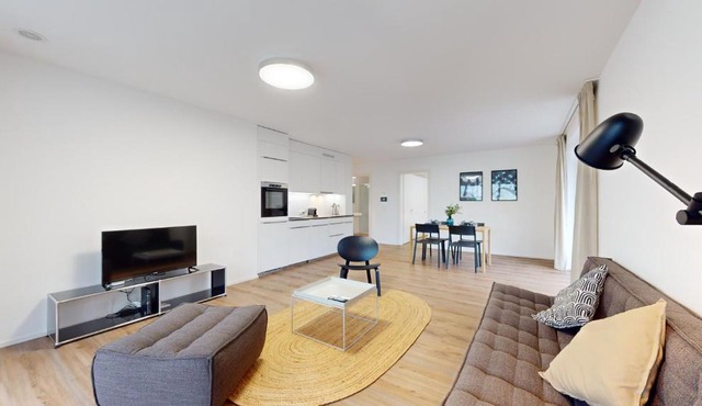 Bright & modern apartments in Sion