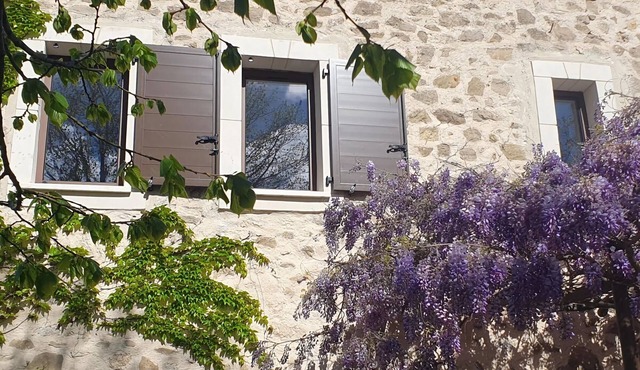 Bright, modern loft Comfortable Vacation Home