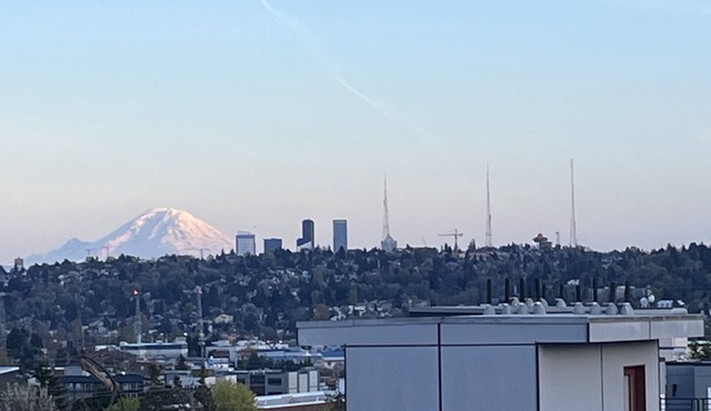 Bright New Home in trendy Ballard
