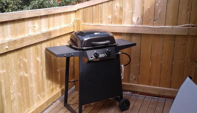 Bright Newly Renovated Downtown Historic Studio on Water Street