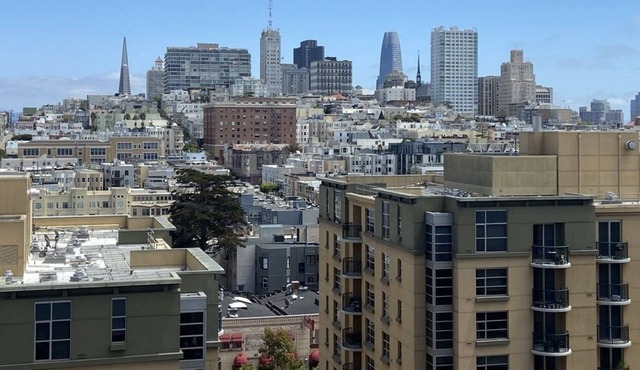 Bright Pacific Heights condo with expansive views