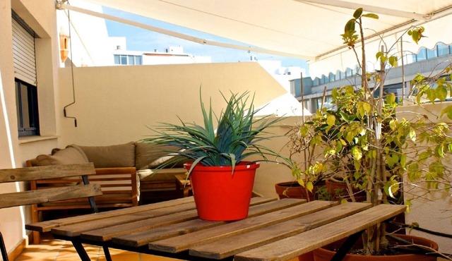 Bright penthouse city center L