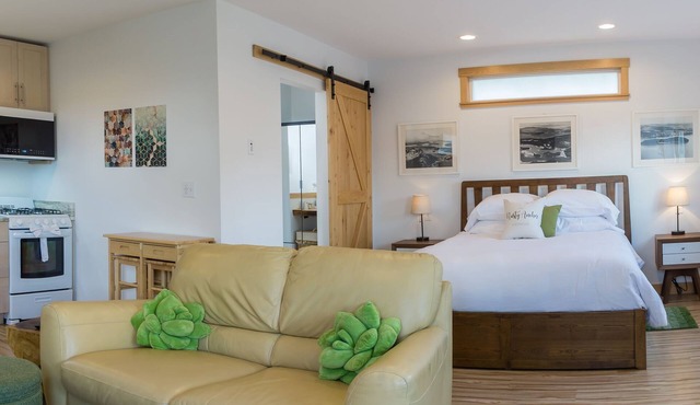 Bright & private studio guesthouse with full kitchen and fireplace