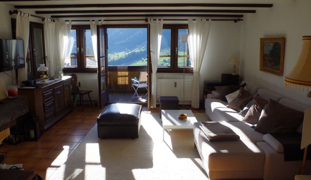 Bright quiet apartment with great views of the mountains for hiking and skiing