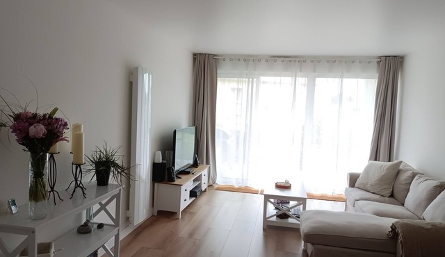 Bright, renovated garden apartment facing the sea.