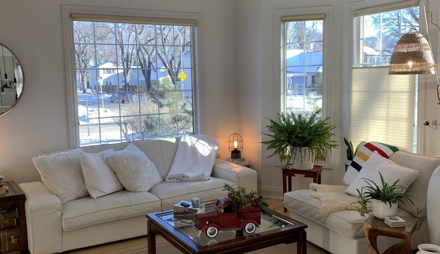 Bright Renovated Character home in River Heights