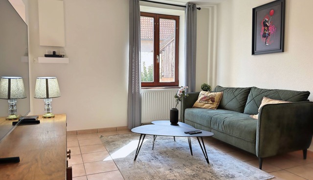 Bright Residence near Saverne, Ideal for Bike Riding - Smart TV & Parking