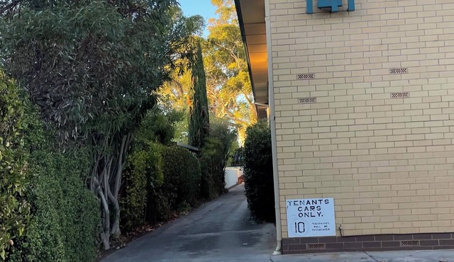 Bright Retreat in Westbourne Park